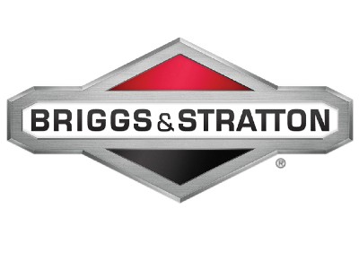 Briggs & Stratton Parts