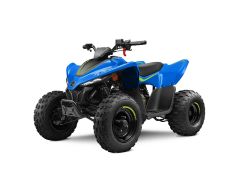CFORCE 110